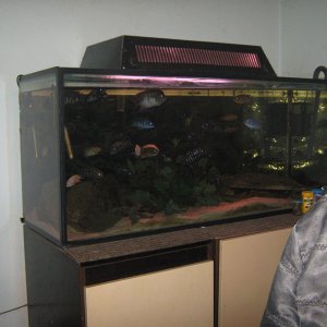 IMG 0046