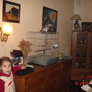 DSC02827 (640 x 480)