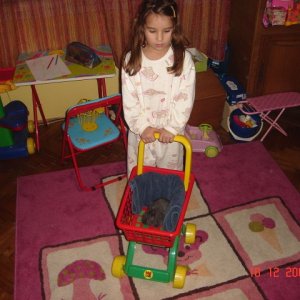 DSC04882 (640 x 480)