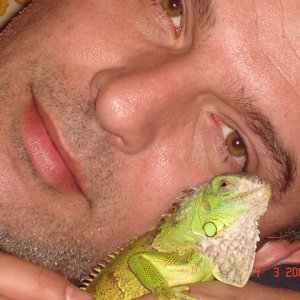 DSC05042 (640 x 480)