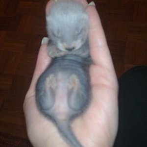 a ovde smo bili mali i jos nismo ni gledali...