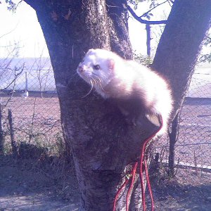 Photo 0095