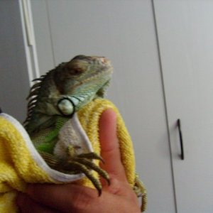 6120 1201248352133 1256280277 561054 5366085 n