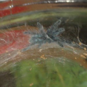 28052010896