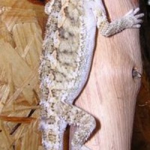 Gde je bre ovaj izlaz..??... :P