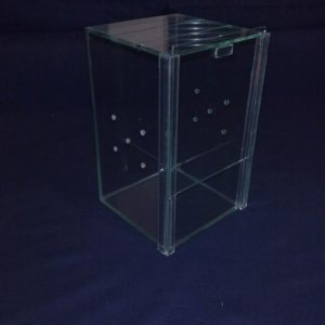 terarijum za  tarantulu 15x15 u osnovi i 25cm u visini