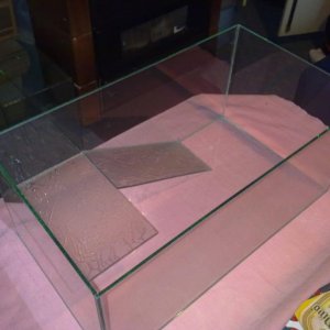 Akvarijum za kornjacu 1