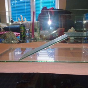 Akvarijum za kornjacu 2